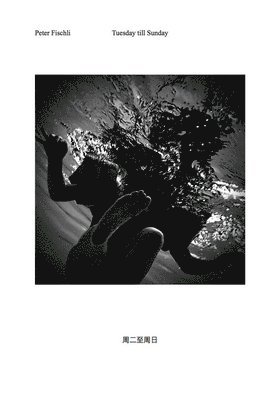 Gabriel Massan - Third World: The Bottom Dimension 1