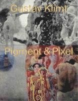 bokomslag Gustav Klimt - Pigment & Pixel