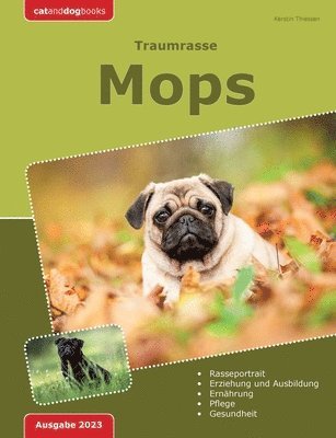 Kerstin Thiessen - Traumrasse, Häftad