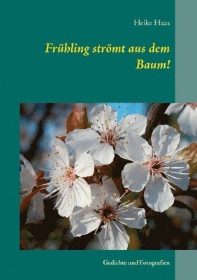 Frhling strmt aus dem Baum! 1