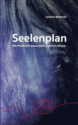 Seelenplan