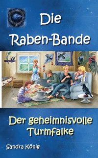 bokomslag Die Raben-Bande