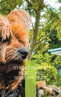 bokomslag Straßenhund Monti und seine Freunde