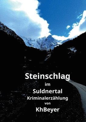 Steinschlag im Suldnertal 1