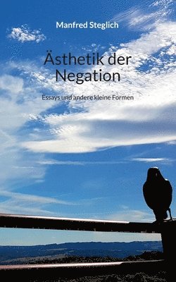 bokomslag Ästhetik der Negation