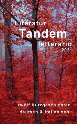 bokomslag Literatur Tandem letterario -2021