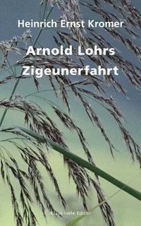 bokomslag Arnold Lohrs Zigeunerfahrt