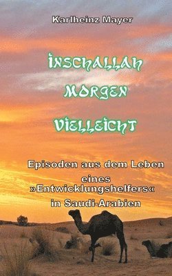 bokomslag Inschallah Morgen Vielleicht