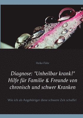 Heike Führ - Diagnose, Häftad