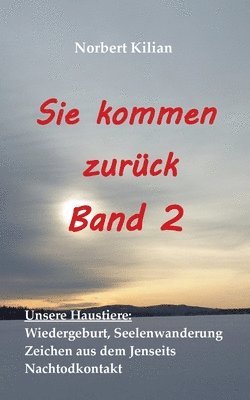 bokomslag Sie kommen zurück Band 2