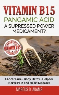 bokomslag Vitamin B15 - Pangamic Acid