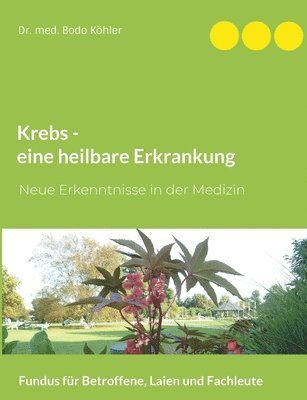 bokomslag Krebs - eine heilbare Erkrankung