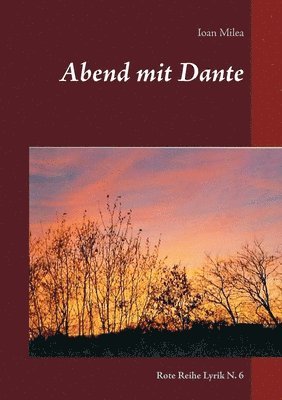 bokomslag Abend mit Dante