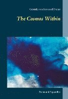 bokomslag The Cosmos Within