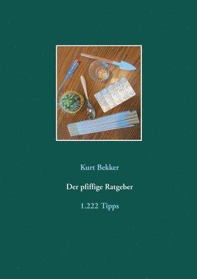 bokomslag pfiffige Ratgeber