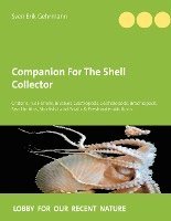bokomslag Companion For The Shell Collector
