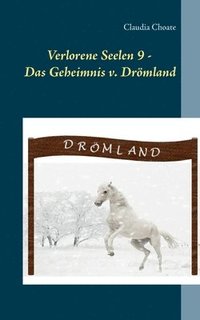 bokomslag Verlorene Seelen 9 - Das Geheimnis von Drmland