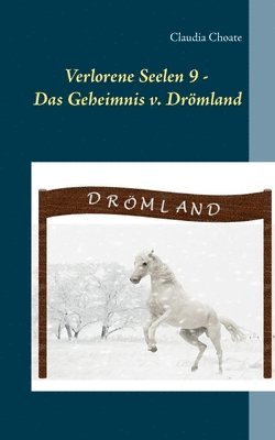 Verlorene Seelen 9 - Das Geheimnis von Droemland 1