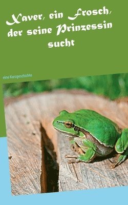 bokomslag Xaver, ein Frosch, der seine Prinzessin sucht