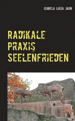 bokomslag Radikale Praxis Seelenfrieden