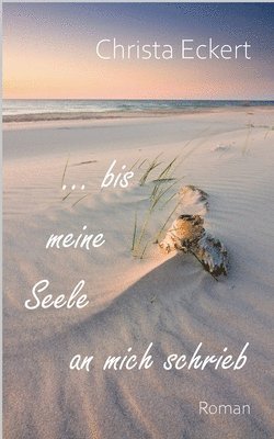 bokomslag Bis meine Seele an mich schrieb