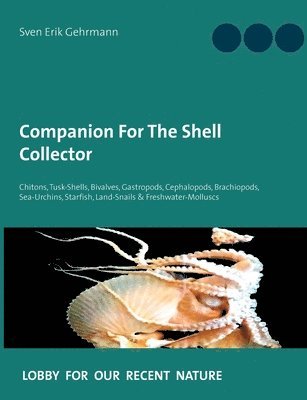 bokomslag Companion For The Shell Collector