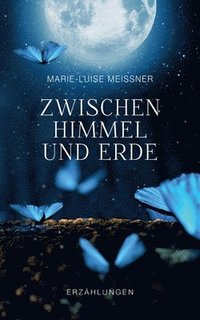 bokomslag Zwischen Himmel und Erde - Erzählungen