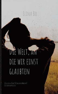 bokomslag Die Welt, an die wir einst glaubten