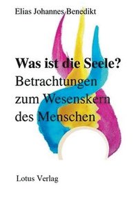 bokomslag Was ist die Seele?