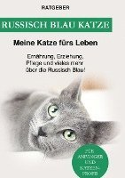 bokomslag Russisch Blau Katze