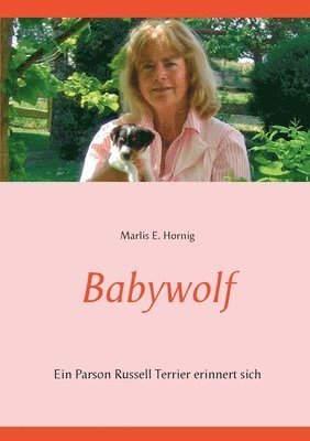 bokomslag Babywolf