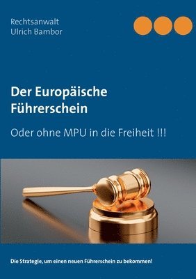 bokomslag Der Europische Fhrerschein