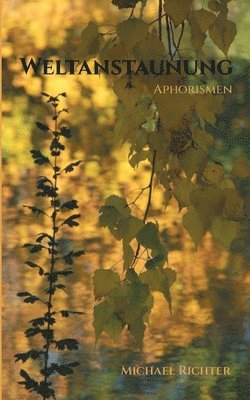 Michael Richter - Weltanstaunung, Häftad