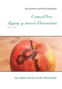 bokomslag ConnectDoor - Zugang zu inneren Dimensionen