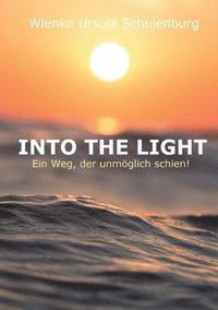 bokomslag Into The Light