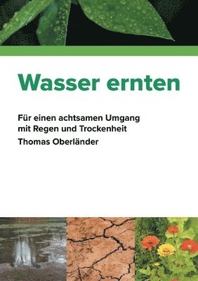 bokomslag Wasser ernten