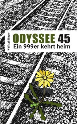 bokomslag Odyssee 45