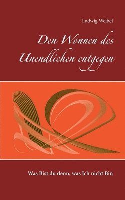 bokomslag Den Wonnen des Unendlichen entgegen