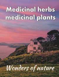 bokomslag Medicinal herbs / medicinal plants