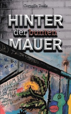 bokomslag Hinter der bunten Mauer