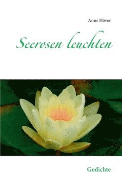 bokomslag Seerosen leuchten