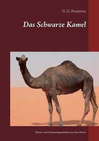 bokomslag Das Schwarze Kamel