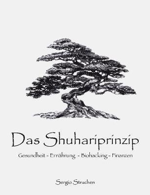 Das Shuhariprinzip 1