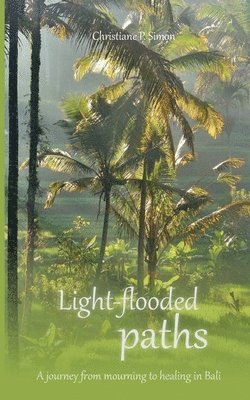 Light-flooded paths 1