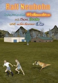 bokomslag Geheimnisvolle Weihnachten mit Hexe, Drache und schüchterner Fee