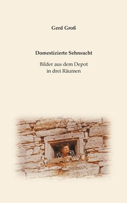 Gerd Groß - Domestizierte Sehnsucht, Häftad