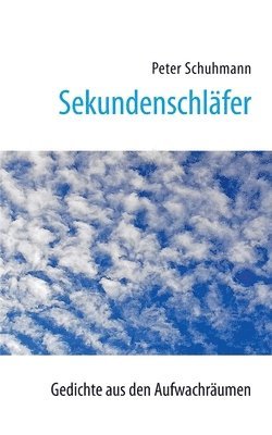 Peter Schuhmann - Sekundenschläfer, Häftad
