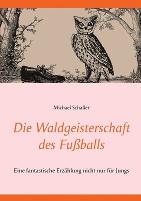 Michael Schaller - Waldgeisterschaft des Fußballs, Häftad