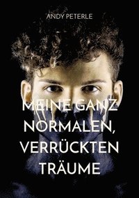 bokomslag Meine ganz normalen, verrückten Träume