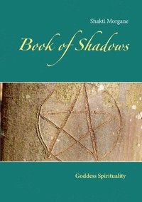 bokomslag Book of Shadows